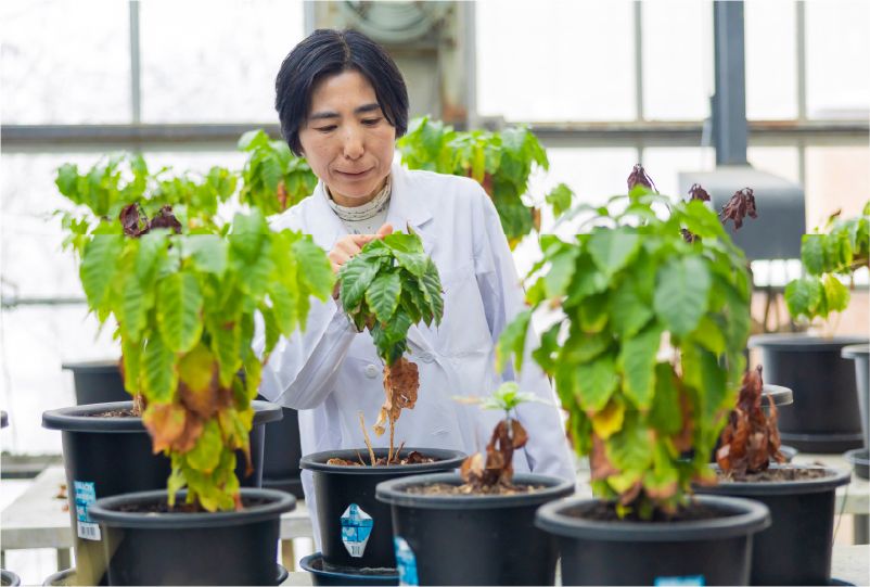 動植物実験系グループ